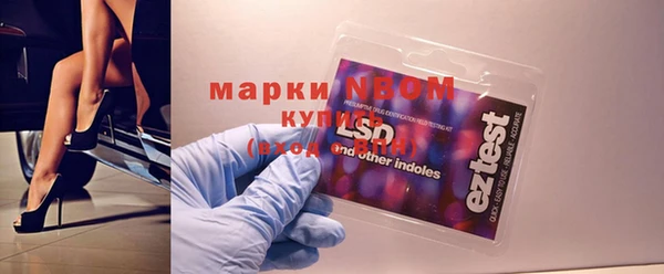 стафф Алзамай