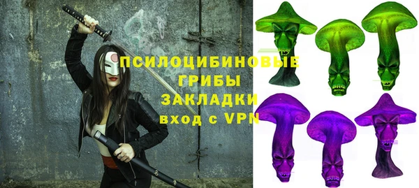 стафф Алзамай