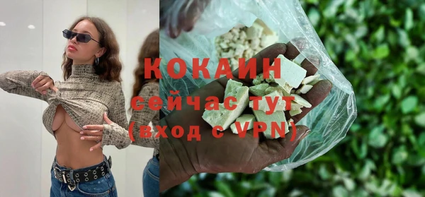 стафф Алзамай