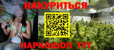гашик Бийск