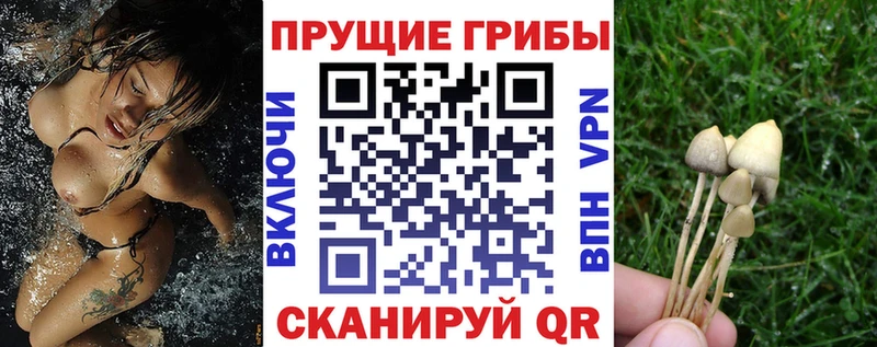 Псилоцибиновые грибы мицелий  Грязи 