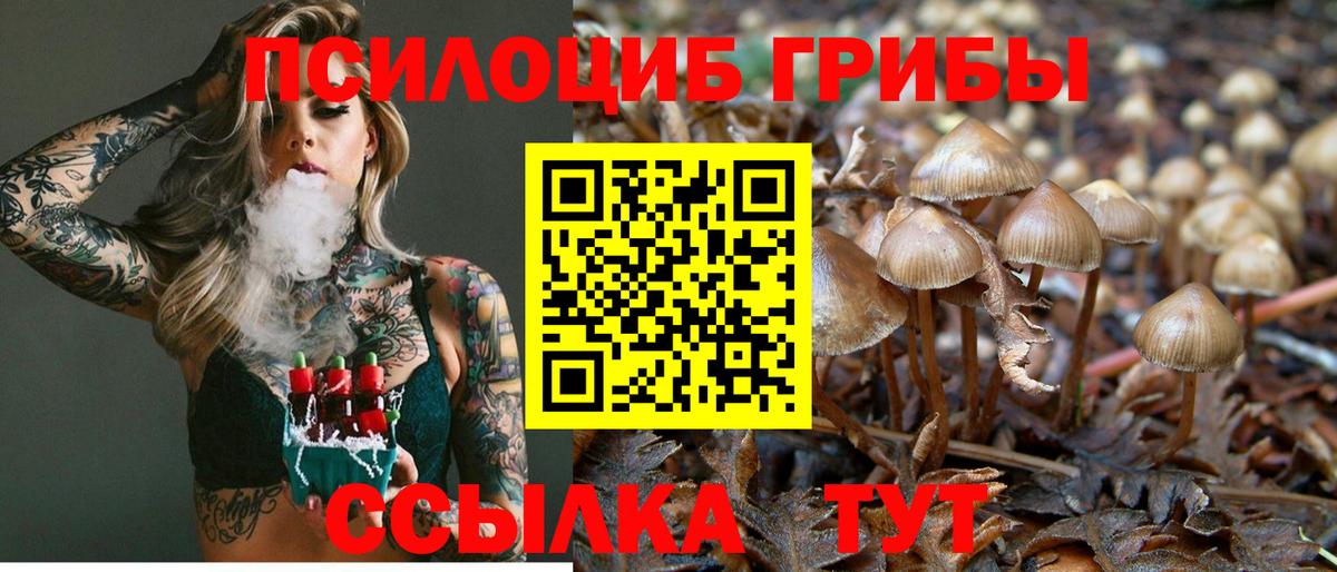 Псилоцибиновые грибы ЛСД Грязи